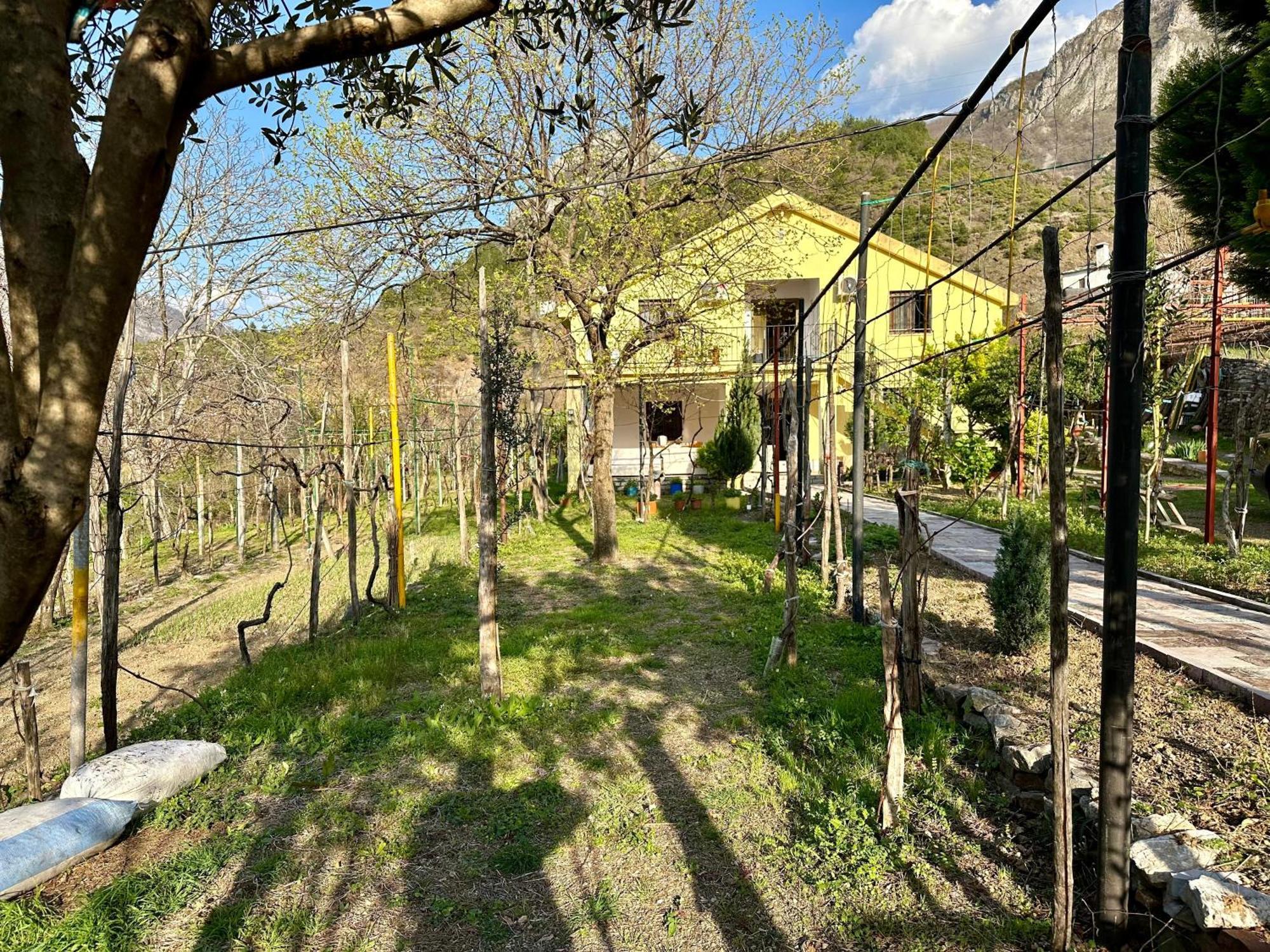 Lakeview Escape Koman מראה חיצוני תמונה