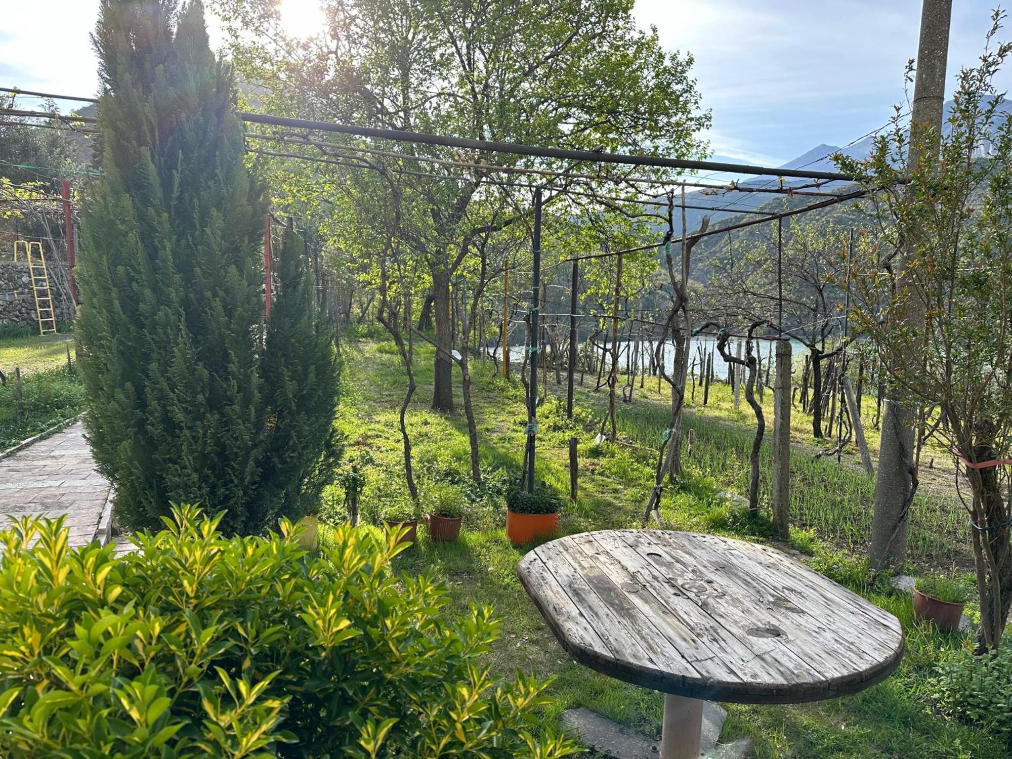 Lakeview Escape Koman מראה חיצוני תמונה