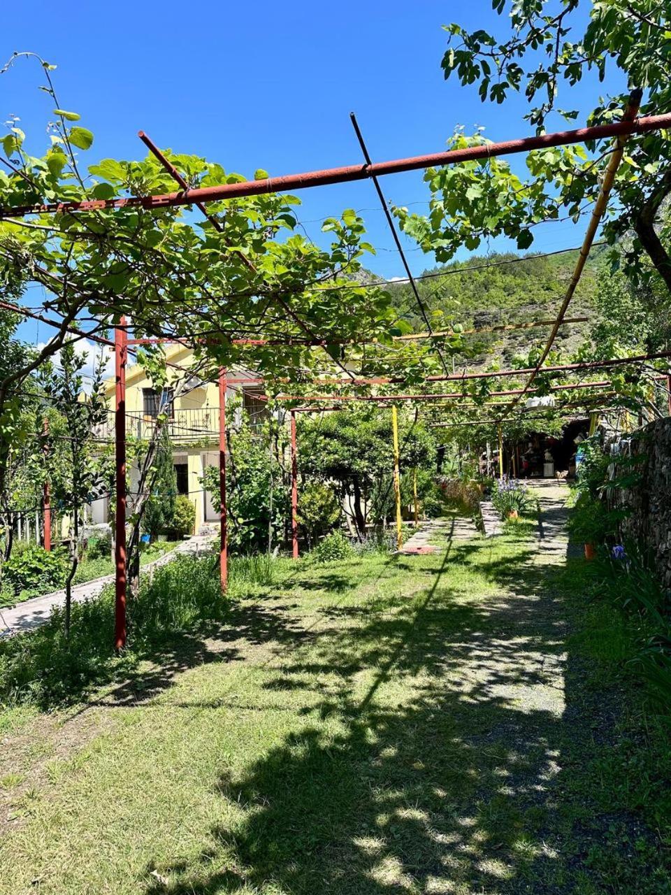 Lakeview Escape Koman מראה חיצוני תמונה