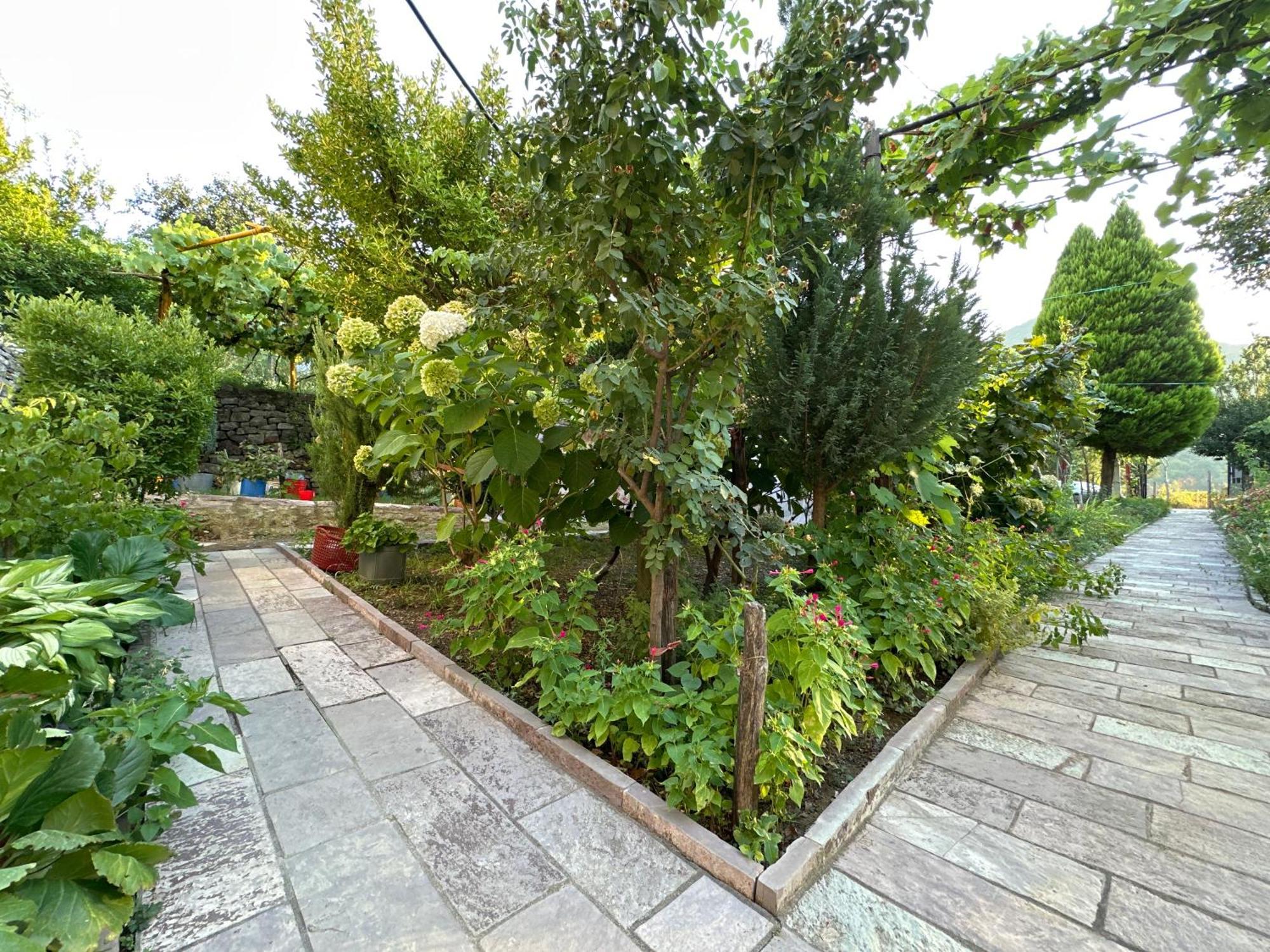 Lakeview Escape Koman מראה חיצוני תמונה